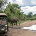 ZMB EAS SouthLuangwa 2016DEC10 KapaniLodge 021 : 2016, 2016 - African Adventures, Africa, Date, December, Eastern, Kapani Lodge, Mfuwe, Month, Places, South Luangwa, Trips, Year, Zambia